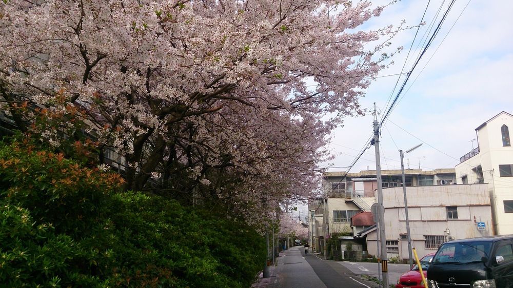Shoei Daini Bekkan Kochi  Exterior photo